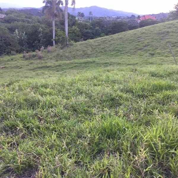 solares y terrenos - terreno en jarabacoa  3