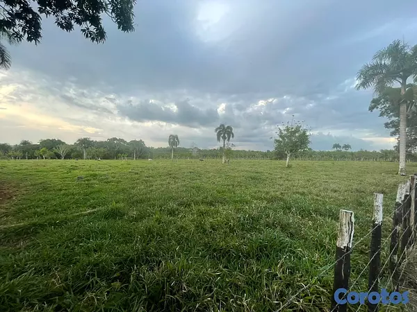 solares y terrenos - Finca Ganadera en Bayaguana de 855 tareas  6