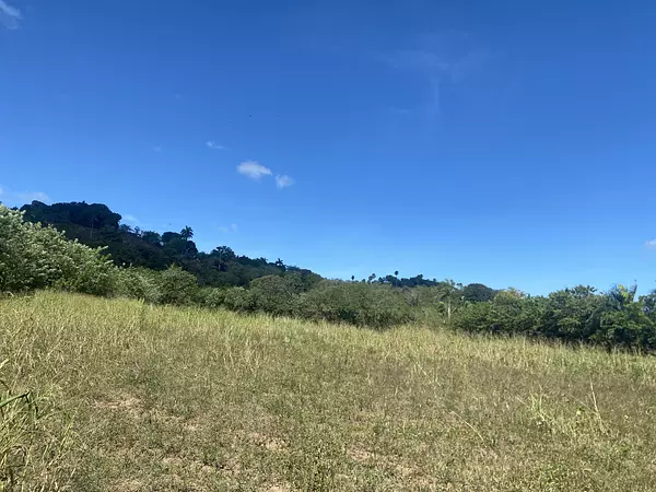 solares y terrenos - finca de 20 tareas en la piragua imbert  3