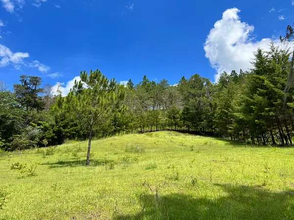 solares y terrenos - Vendo en Constanza varios terrenos 4