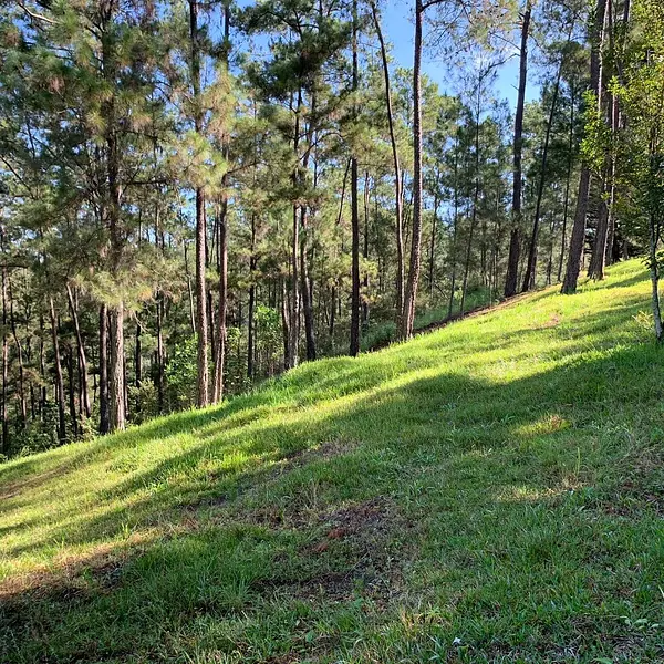 solares y terrenos - Terreno Disponible en Monte Bonito, Jarabacoa  7