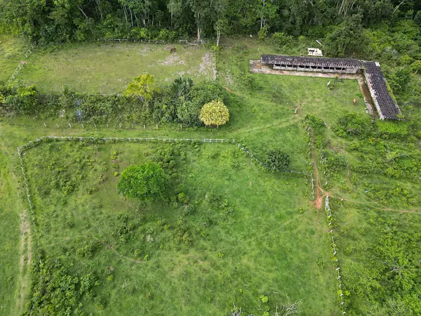 solares y terrenos - TERRENO EN VENTA, LAS GUAZARAS TERRENAS. 8