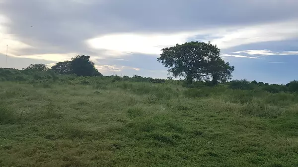 solares y terrenos - Solar de 150,000 metros Ecológica con Samaná 3