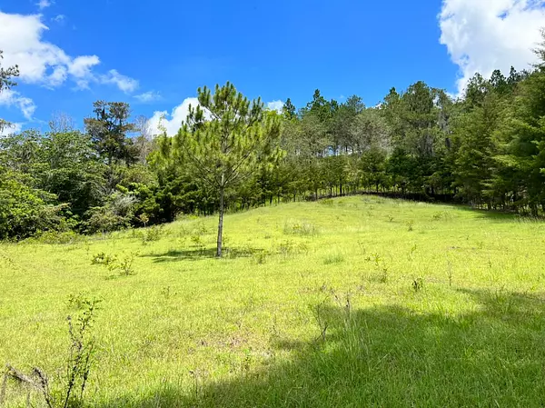 solares y terrenos - Vendo en Constanza varios terrenos 5