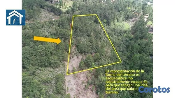 solares y terrenos - Solar en Constanza Rancho Guaraguao de 10591 metros 4