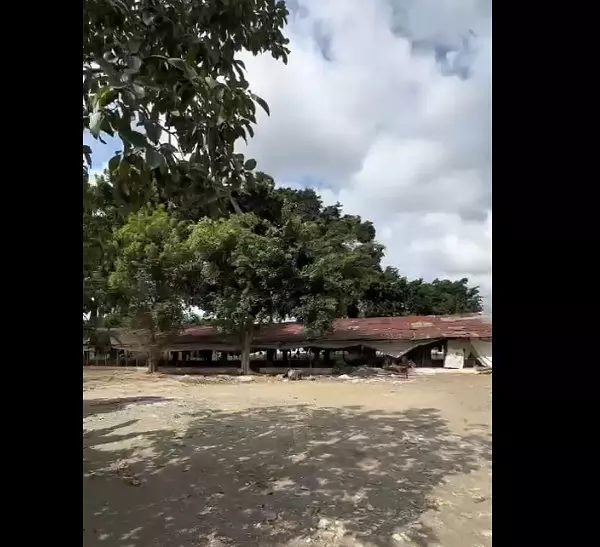 solares y terrenos - Finca 571 Tareas en Maguey, Villa Tapia 2