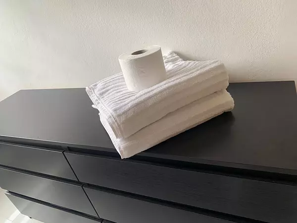 apartamentos - Alquilo Apartamento en Evaristo Morales 10