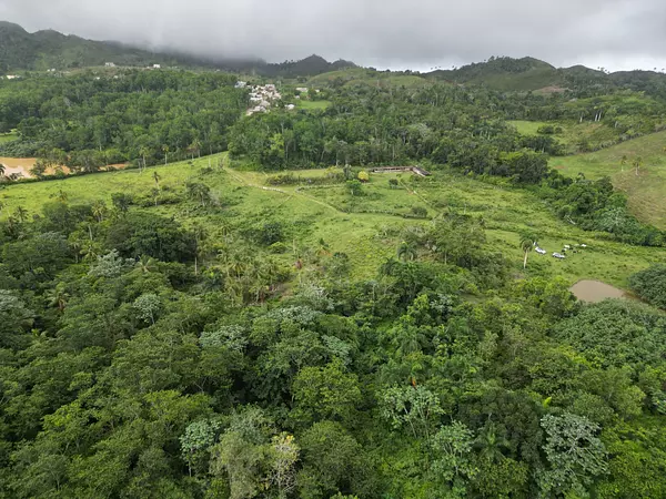 solares y terrenos - TERRENO EN VENTA, LAS GUAZARAS TERRENAS. 9