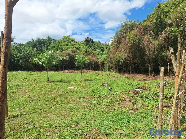 solares y terrenos - Vendo solar para construir villa (El Toro de Guerr 2