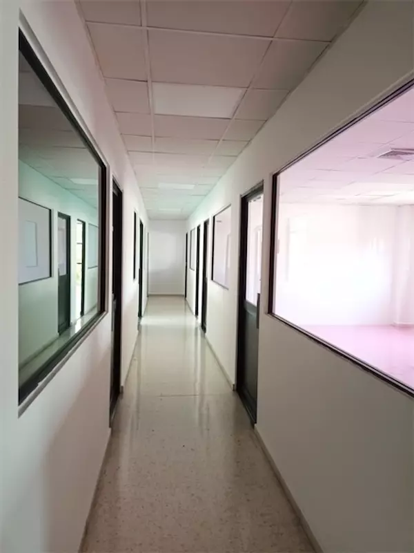 oficinas y locales comerciales - Oficina amplia en piantini 4