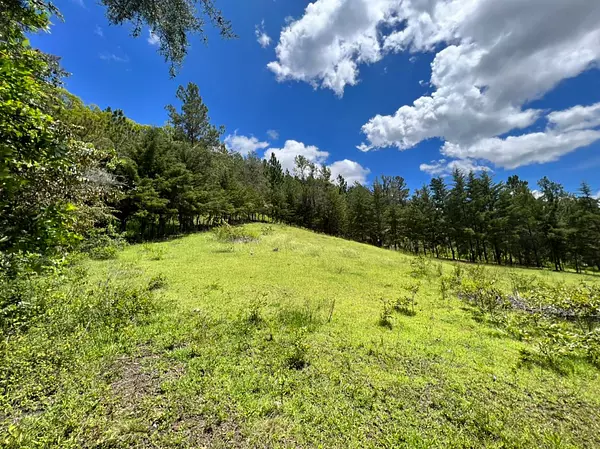 solares y terrenos - Vendo en Constanza varios terrenos 6