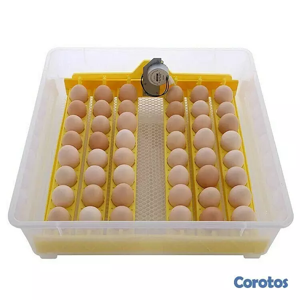 equipos profesionales - Incubadoras de 48 huevos digital automatico para Pollo Aves de corra 3