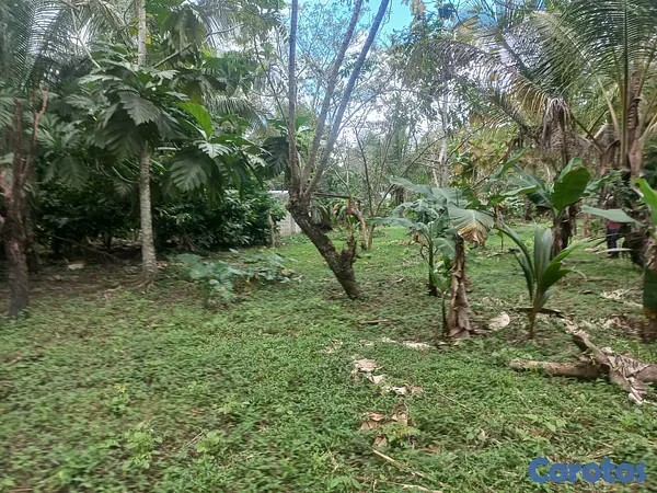 solares y terrenos - Venta finca 2