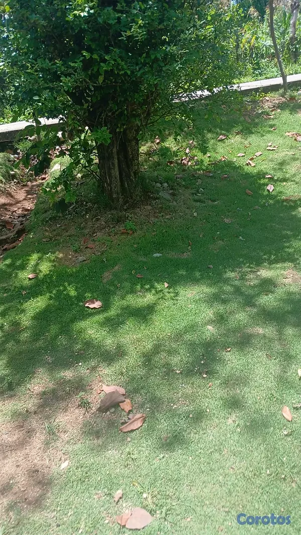casas - Se vende mejora de madera en san Cristóbal 3