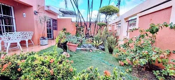 casas - Se vende una casa en la Castellana con 500Mts² de terreno. 7