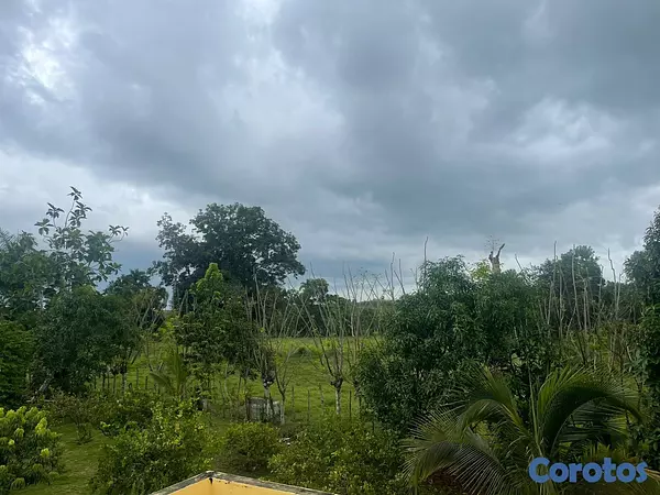 solares y terrenos - Finca Ganadera en Bayaguana de 855 tareas  7