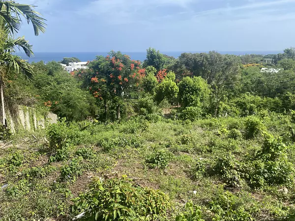 solares y terrenos - solar de venta en los cerros de Sosau  8