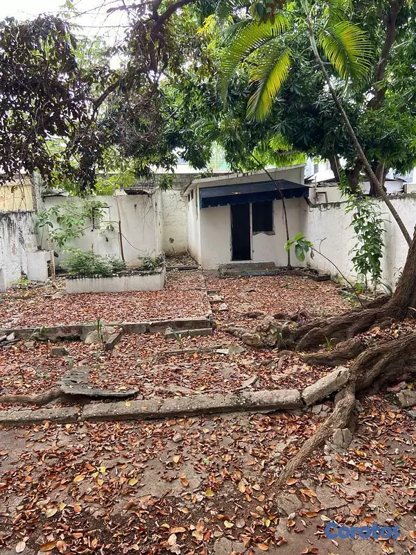 casas - Casa para Reformar en Gazcue con solar de 4356m2 10