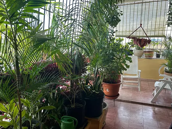 apartamentos - Apartamento en Venta en ZONA COLONIAL 6