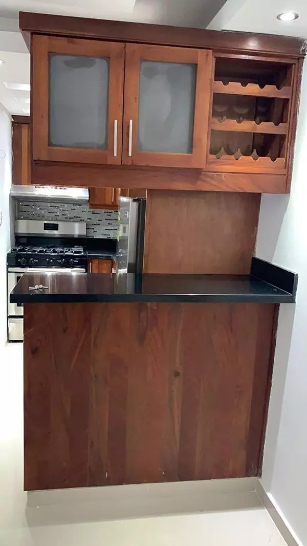 apartamentos - Alquiler Apartamento Amueblado, Piantini 5