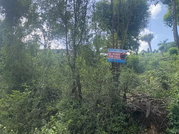 solares y terrenos - solar de venta en los cerros de Sosau  9