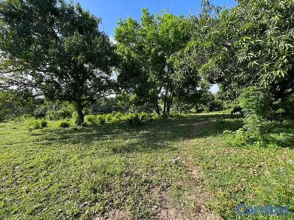 casas - Oportunidad! 38,000 m² en Nigua - Ideal para Naves o Parqueo 8