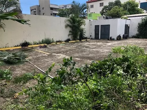 oficinas y locales comerciales - Amplio local en Naco 683 m 2