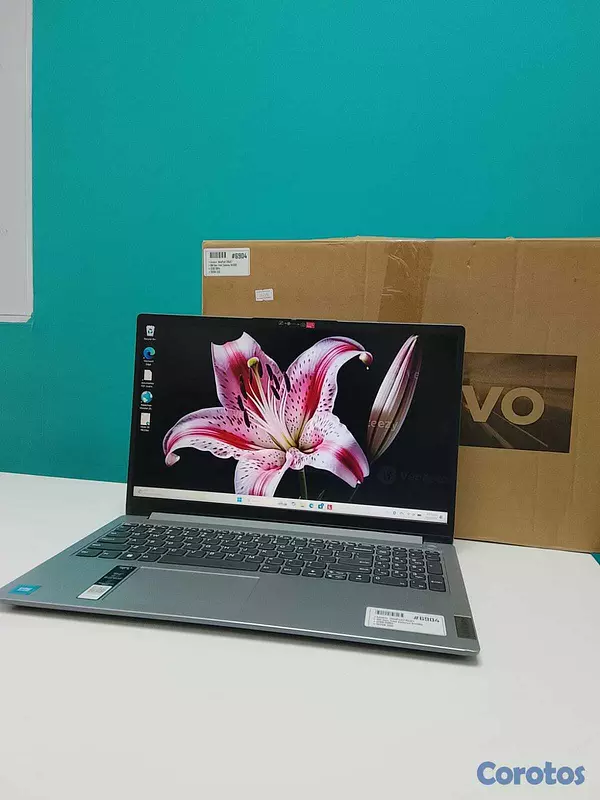 computadoras y laptops - Laptop, IdeaPad 1 15IJL7 11Th Gen, Intel Celeron N 1