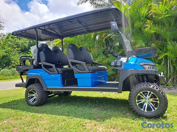 vehiculos recreativos - CARRO DE GOLF SEMINUEVO 9