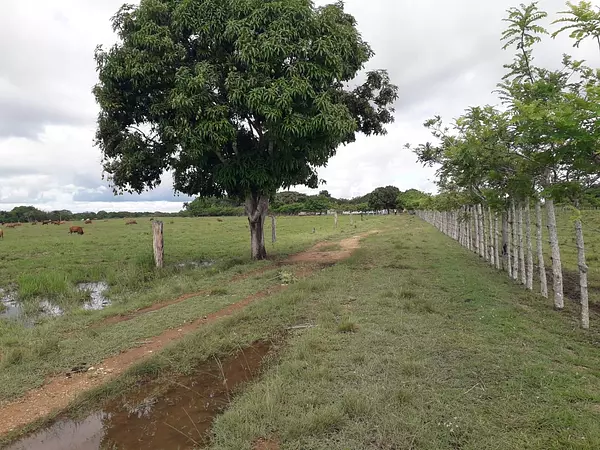 solares y terrenos - finca agrícola o ganadera  6