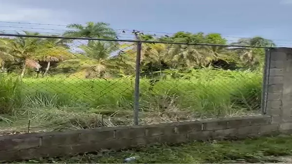 solares y terrenos - Terrenos Autopista Duarte 5