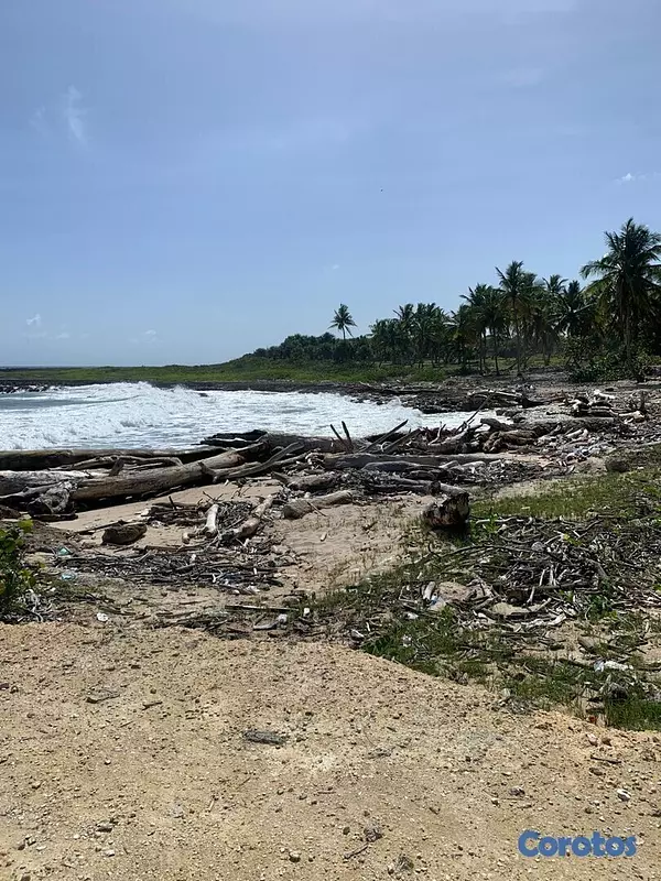 solares y terrenos - Solar en Cumayasa frente a la Costa de 51mil metros  4