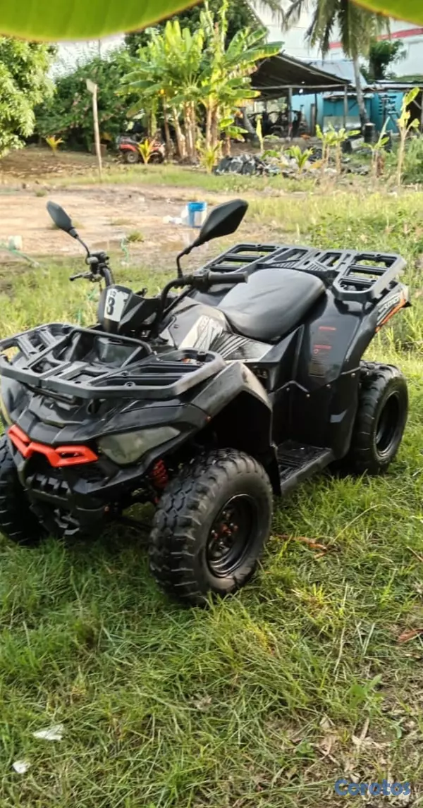 vehiculos recreativos - Se venden motores recreativos NEGOCIABLE  2