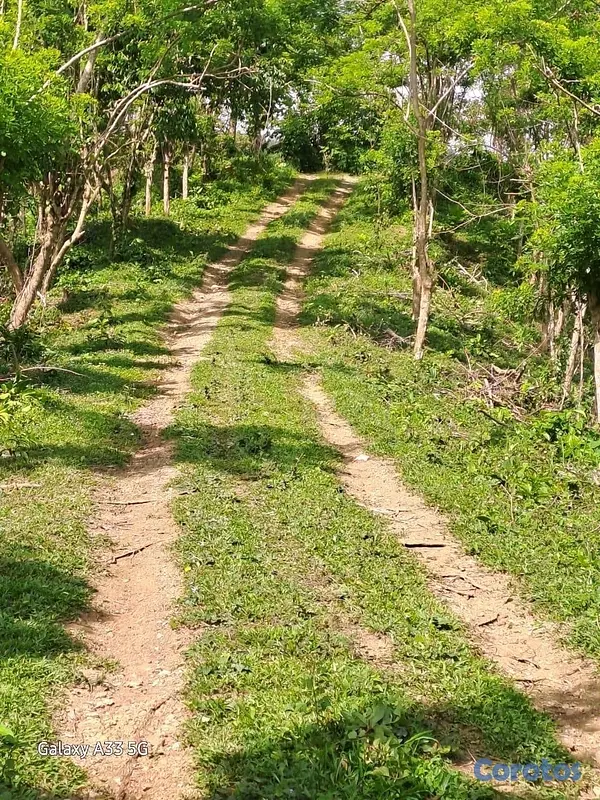 solares y terrenos - Vendo Finca en Yamasa, Monteplata 3