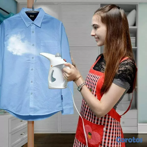 electrodomesticos - Plancha a vapor para ropa y rostro 4