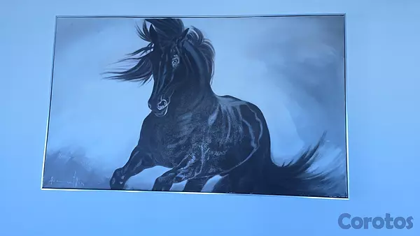 decoración y accesorios - Cuadros y lámpara en venta  2