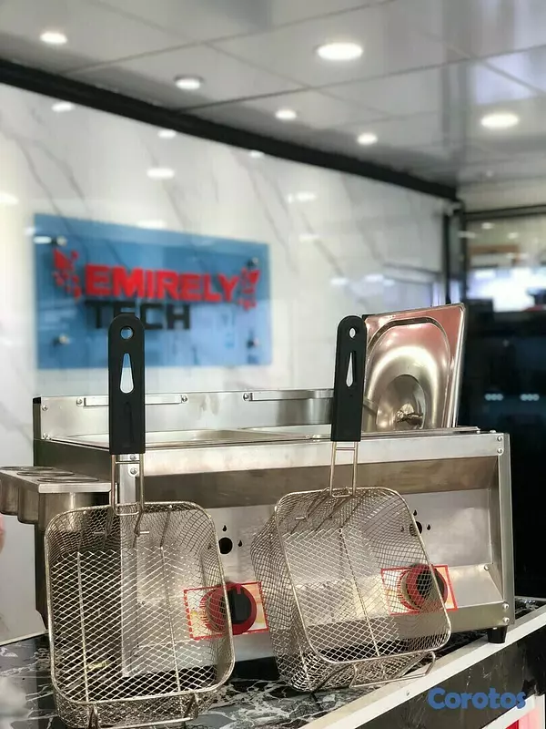 equipos profesionales - Freidora de gas de doble envase de 10 litros con escurridora para papa pollo 7