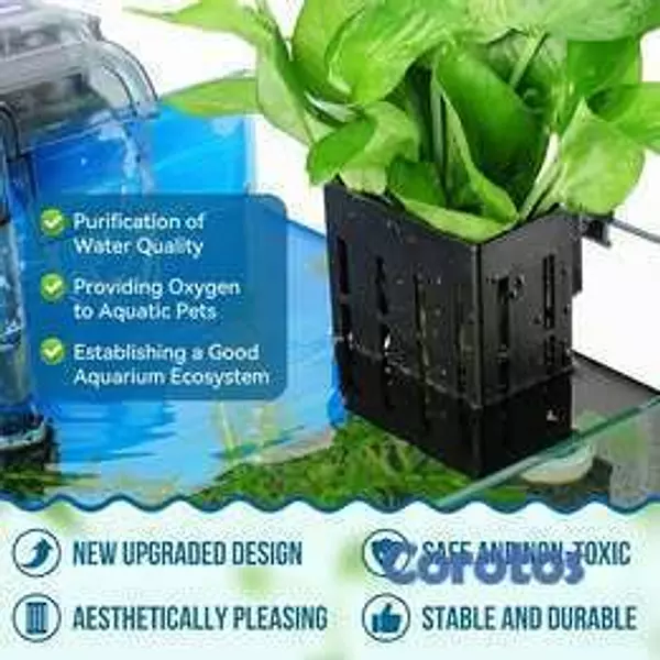 animales y mascotas - Set 4 Soportes para Plantas de Acuario – Decoració 7