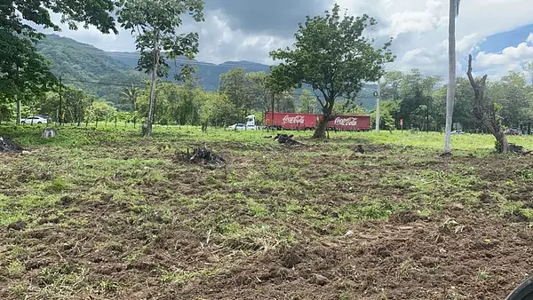 solares y terrenos - Finca 289,340 mts en Bonao 1