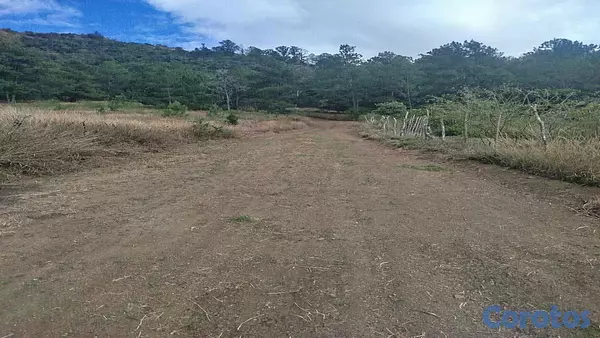 solares y terrenos - VENDO HERMOSO TERRENO CON UNA VISTA ESPECTACULAR!! - EN EL PINAR CONSTANZA. RD!! 6
