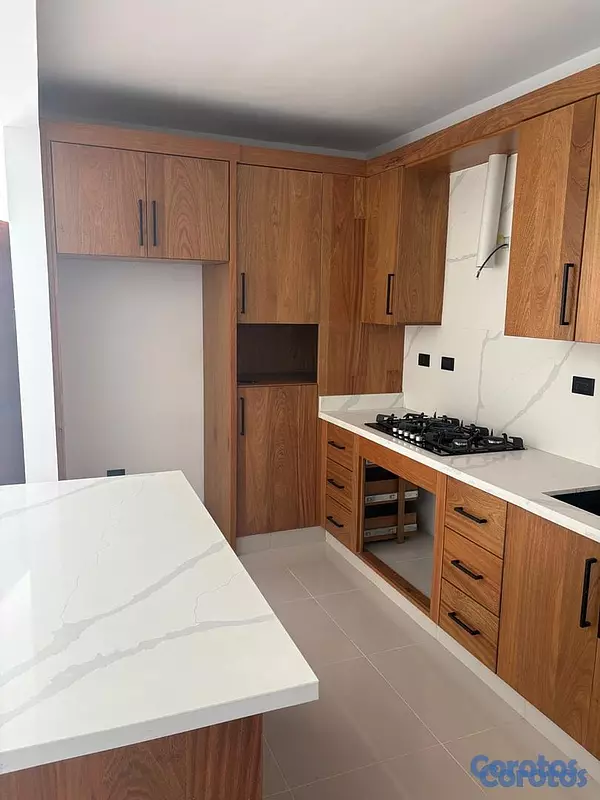 apartamentos - Penthouse en alquiler Villa María, Santiago  4