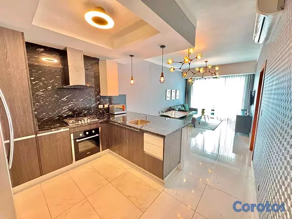 apartamentos - Vendo  y Alquilo Apartamento en Piantini  6