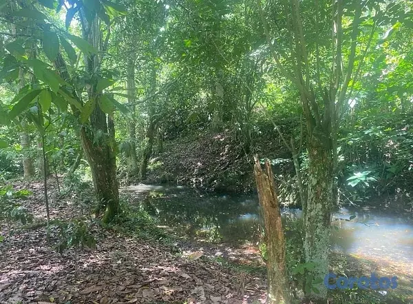 solares y terrenos - FINCA 3