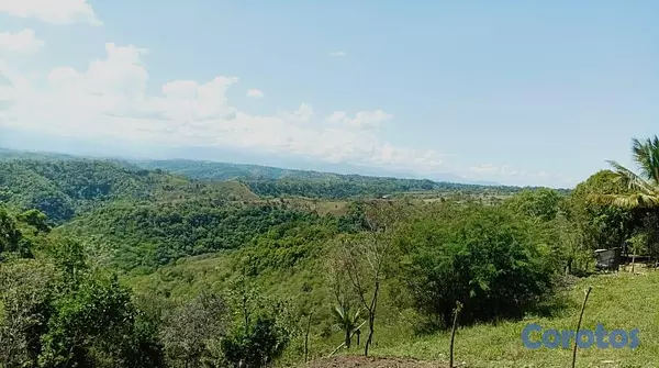 solares y terrenos - Terreno 80 Tareas de Venta en San Jose de Las Matas 4