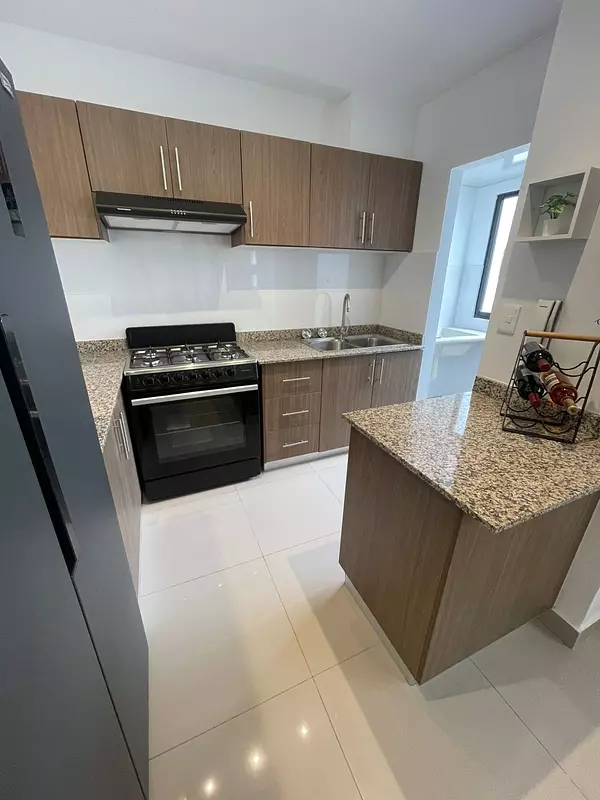 apartamentos - PROYECTO DE APARTAMENTOS EN LAS AMERICAS 1738 6