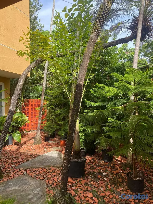 casas - CASA EN VENTA-ARROYO HONDO VIEJO  8