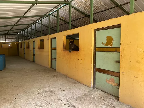 casas - Casa con Terreno de 3,600 Mts2 en Tamboril, Santiago 8