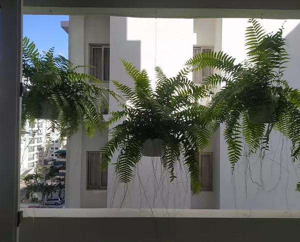 apartamentos - Apartamento en venta, en Naco  4