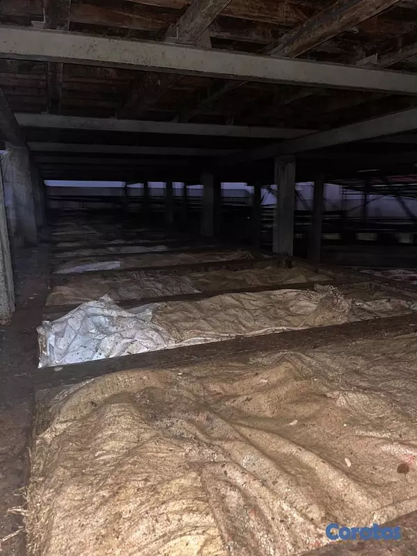solares y terrenos - Finca de 4075 tareas en Cibao de Cacao  4