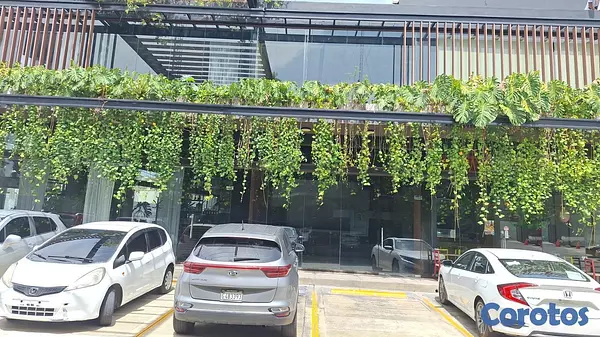 oficinas y locales comerciales - En Alquiler Local En Arroyo Hondo Viejo Para Restaurante 6